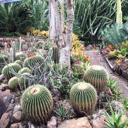 Ancient Gardens Guesthouse & Botanical Gardens Eudlo Экстерьер фото