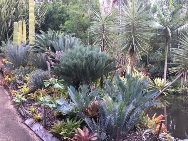 Ancient Gardens Guesthouse & Botanical Gardens Eudlo Экстерьер фото